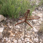 Ruta del Abrigo de las Monteses (2)